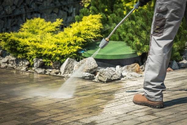 Boat and Dock Cleaning in Banner Hill, TN